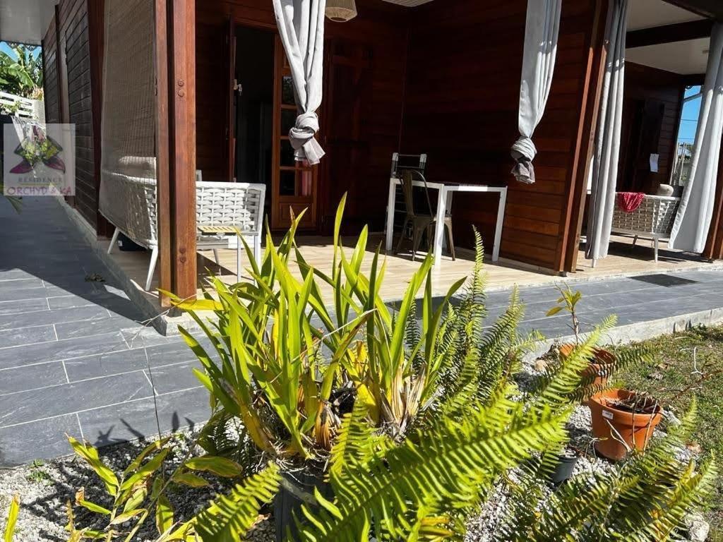 Piscine, Plages Bois Jolan Et Du Bourg, Jardin & Parking Prives, Sainte-Anne - Villas Orchyd & Ka Εξωτερικό φωτογραφία